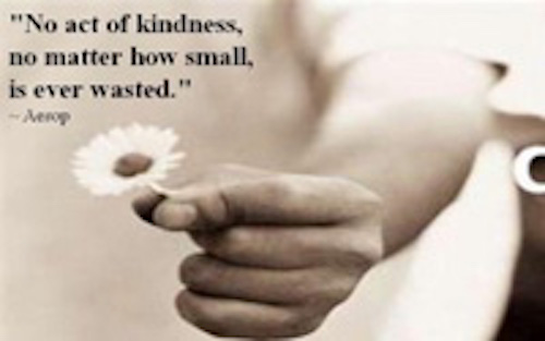 A Kindness Manifesto