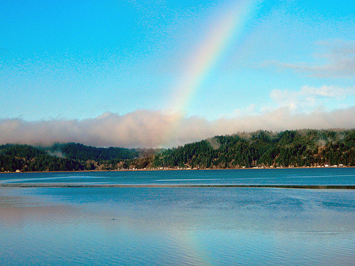 Chasing Rainbows